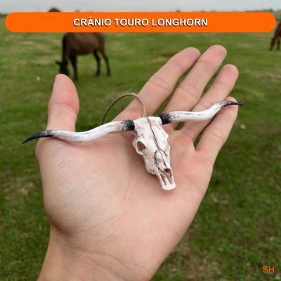 CRANIO TOURO LONGHORN